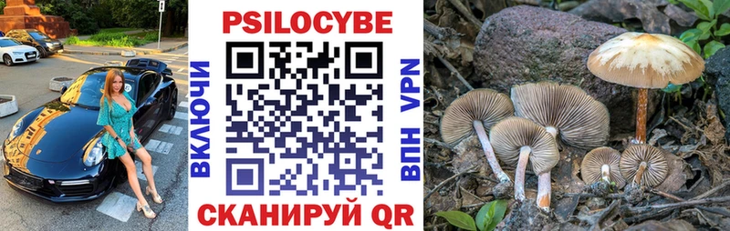 Галлюциногенные грибы GOLDEN TEACHER  Искитим 