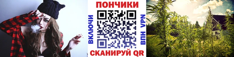купить закладку Искитим гидра вход Бошки Шишки Bruce Banner